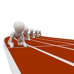 mk体育官网入口-中小学体育健康教育课程内容优化研究，中小学体育健康教育课程内容优化研究心得体会