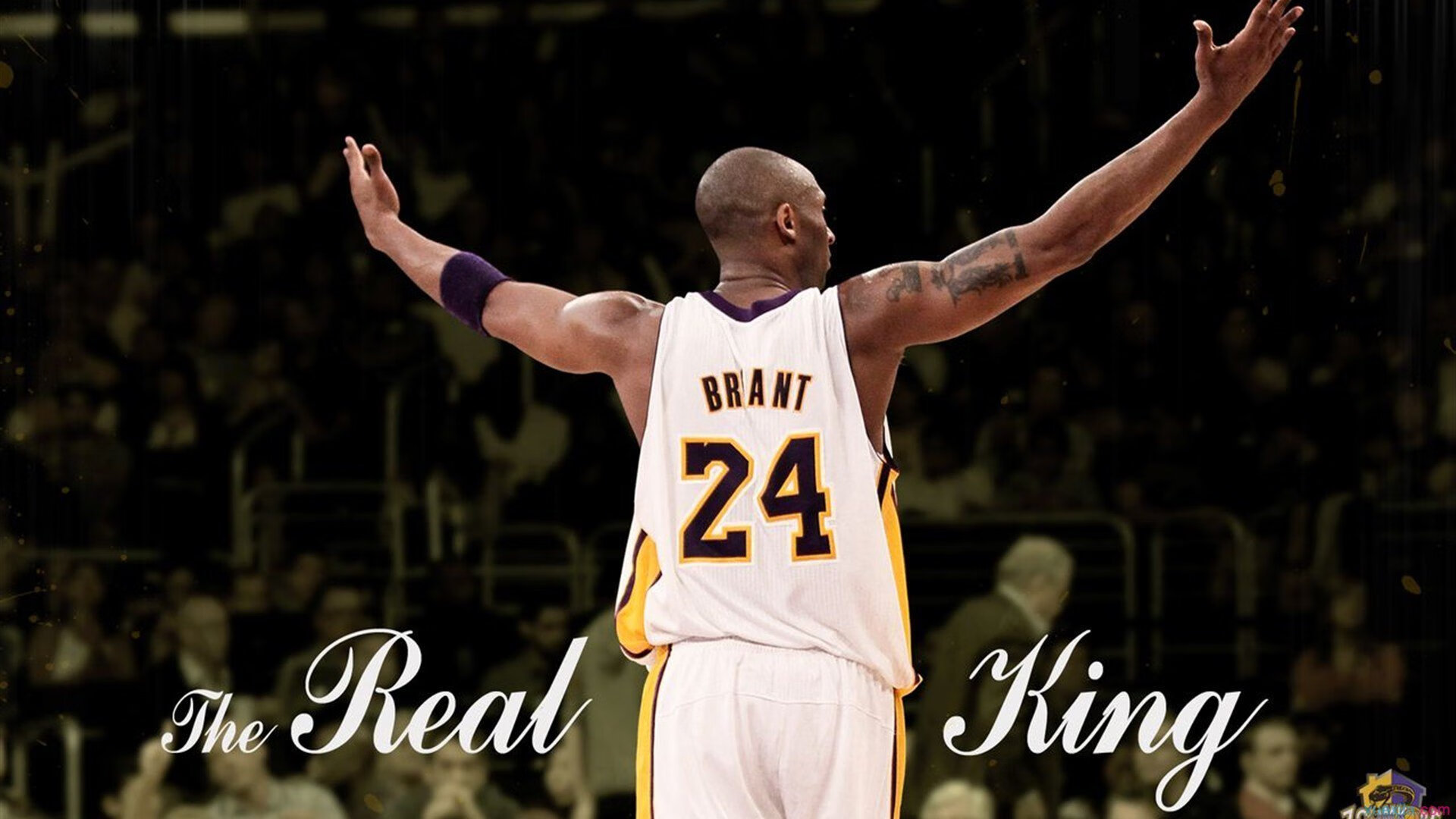 mk sport-体育文化融合科技打造智慧展览，体育文化创意产业